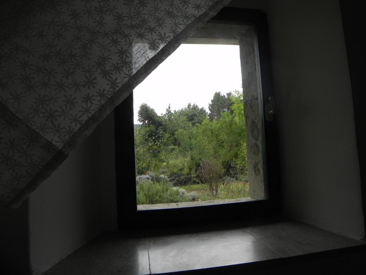 Apartmaji Hedera コメン エクステリア 写真